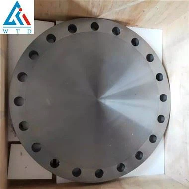 Grade 2 titanium blindflange